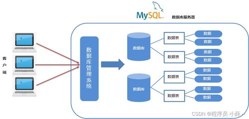 MySQL核心概念與IDEA連接實(shí)踐 從SQL語法分類到數(shù)據(jù)庫設(shè)計(jì)規(guī)范