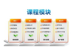 專業(yè)賦能電商未來 網(wǎng)盈機構(gòu)一站式服務引領(lǐng)行業(yè)新篇章